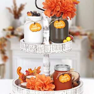 Nefelibata Fall Mason Jar Floral Arrangement Table Centerpiece with Faux Maple Leaves Pumpkins Slices Autumn Farmhouse Decor Tiered Tray Happy Fall Y'all Home Ornaments Set of 3 Orange-White-Brown