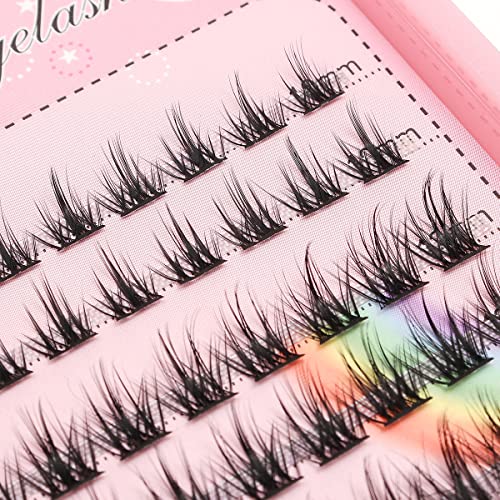 Bodermincer Lashes Clusters 10-12-14-16mm Mixed Lashes Extension Kit lashes clusters Lashes Wispy Eyelash Extension Individual Eyelash Bunche (10-12-14-16mm Mixed)