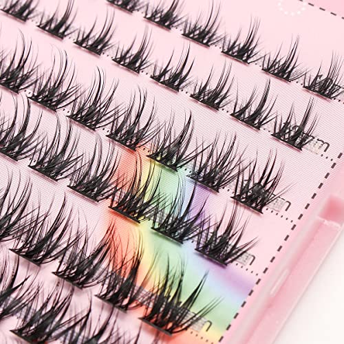 Bodermincer Lashes Clusters 10-12-14-16mm Mixed Lashes Extension Kit lashes clusters Lashes Wispy Eyelash Extension Individual Eyelash Bunche (10-12-14-16mm Mixed)