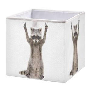 kigai raccoon say yeah cube storage bins - 11x11x11 in large foldable storage basket fabric storage baskes organizer for toys, books, shelves, closet, home decor