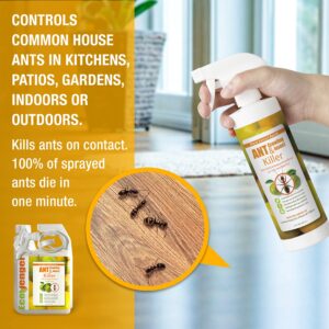 EcoVenger Ant Killer & Crawling Insect Killer (Citrus Scent) 16 OZ, Kills Fast in Minutes, Also Kills Spiders, Centipedes & More, Repels with Residual, Natural & Non-Toxic, Children & Pets Safe…