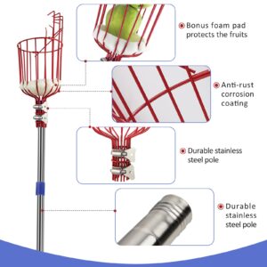 13FT Fruit Picker Pole with Basket Apple Orange Picker Tool Tree Fruit Catcher with Lightweight Stainless Steel Connecting Pole, Sturdy Basket with Foam Pad, Metal Clamp