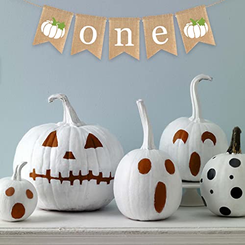 Gankbite White Pumpkin One Banner Fall 1st Birthday Decoration Cake Smash Photo Prop Little Pumpkin Autumn Party Supplies