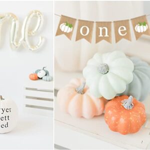 Gankbite White Pumpkin One Banner Fall 1st Birthday Decoration Cake Smash Photo Prop Little Pumpkin Autumn Party Supplies