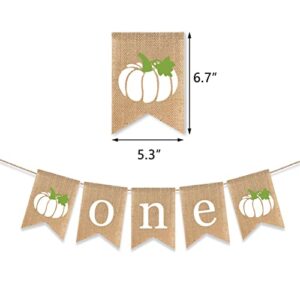 Gankbite White Pumpkin One Banner Fall 1st Birthday Decoration Cake Smash Photo Prop Little Pumpkin Autumn Party Supplies