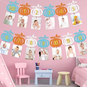 Our Little Pumpkin is Turning One Decorations Pumpkin First Birthday Decorations Girl 1ST Birthday Photo Banner Little Pumpkin Banner Fall Birthday Party Decorations