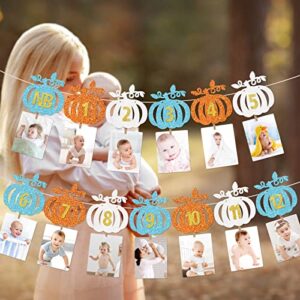 Our Little Pumpkin is Turning One Decorations Pumpkin First Birthday Decorations Girl 1ST Birthday Photo Banner Little Pumpkin Banner Fall Birthday Party Decorations