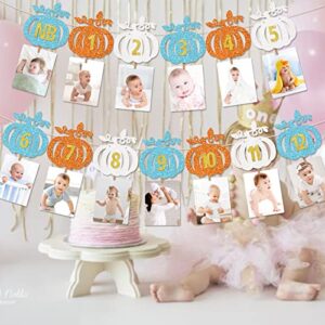 Our Little Pumpkin is Turning One Decorations Pumpkin First Birthday Decorations Girl 1ST Birthday Photo Banner Little Pumpkin Banner Fall Birthday Party Decorations