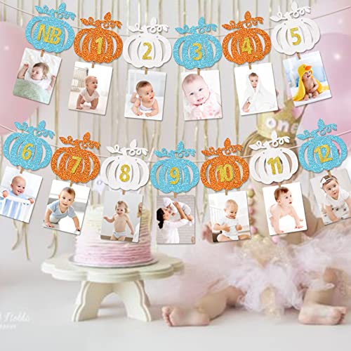 Our Little Pumpkin is Turning One Decorations Pumpkin First Birthday Decorations Girl 1ST Birthday Photo Banner Little Pumpkin Banner Fall Birthday Party Decorations