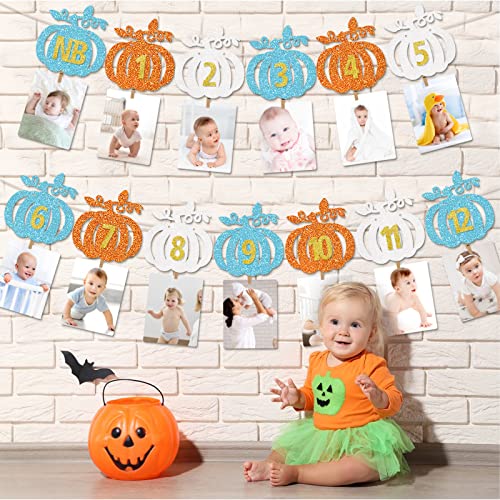 Our Little Pumpkin is Turning One Decorations Pumpkin First Birthday Decorations Girl 1ST Birthday Photo Banner Little Pumpkin Banner Fall Birthday Party Decorations