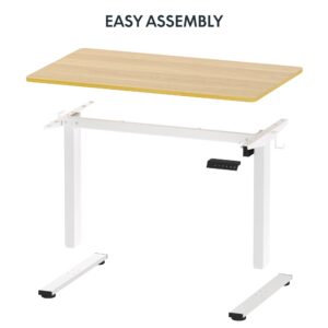 FLEXISPOT Standing Desk, Whole-Piece Desktop 48 x 24 Inches Height Adjustable Desk Stand up Desk Home Office Table for Computer Laptop (White Frame & Maple Desktop)