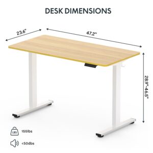 FLEXISPOT Standing Desk, Whole-Piece Desktop 48 x 24 Inches Height Adjustable Desk Stand up Desk Home Office Table for Computer Laptop (White Frame & Maple Desktop)