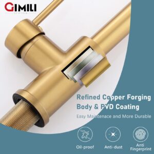 GIMILI Brushed Gold Kitchen Faucet with Soap Dispenser, Commercial Single Handle Spring Pull Out Kitchen Sink Faucets with Pull Down Sprayer