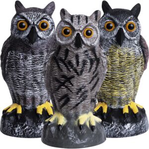 galashield owl decoys to scare birds away | plastic owls to scare birds away | owl statue for garden & outdoors [set of 3]