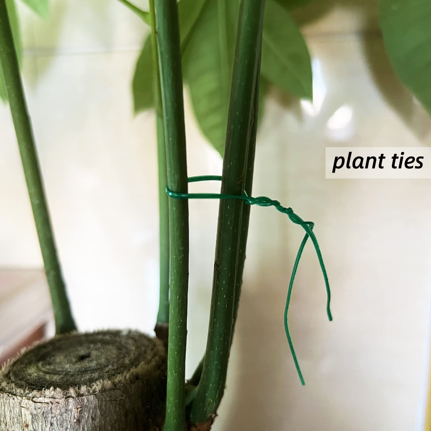 Plant Twist Ties - 8'' Plant Ties for Climbing Plants - Garden Ties Reusable Twist Ties Garden Twine for Plants Vines Cords Bags - Pack of 100, Green