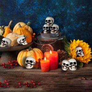 hanaiette 10 Pieces Mini Halloween Skulls Heads Skull Decor for Halloween Party, Halloween Decor Props, Table Decor Outdoor Halloween Home Decor Gift