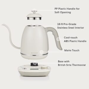 BUYDEEM K821 Electric Gooseneck Kettle with Variable Temperature Control, Pour Over Coffee Tea Kettle, Durable 18/8 Stainless Steel, Auto Keep Warm & Built in Brewing Timer, 0.8L