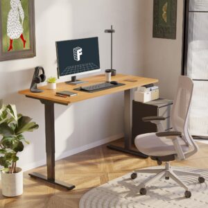 FLEXISPOT Stand Up Desk 3 Stages Dual Motor Electric Standing Desk 55x28 Inch Whole-Piece Board Height Adjustable Desk Electric Sit Stand Desk(Black Frame + Maple Desktop, 2 Packages)