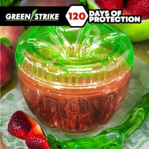 GREENSTRIKE 2-Pack Fruit Fly Traps for Indoors use. 120 Days Solution – Gnat Trap and Effective Fruit Fly Trap – Easy to Use – Best for Kitchen – Dining Areas - Reusable