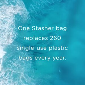 Stasher Reusable Silicone Storage Bag, Food Storage Container, Microwave and Dishwasher Safe, Leak-free, Quart, Clear