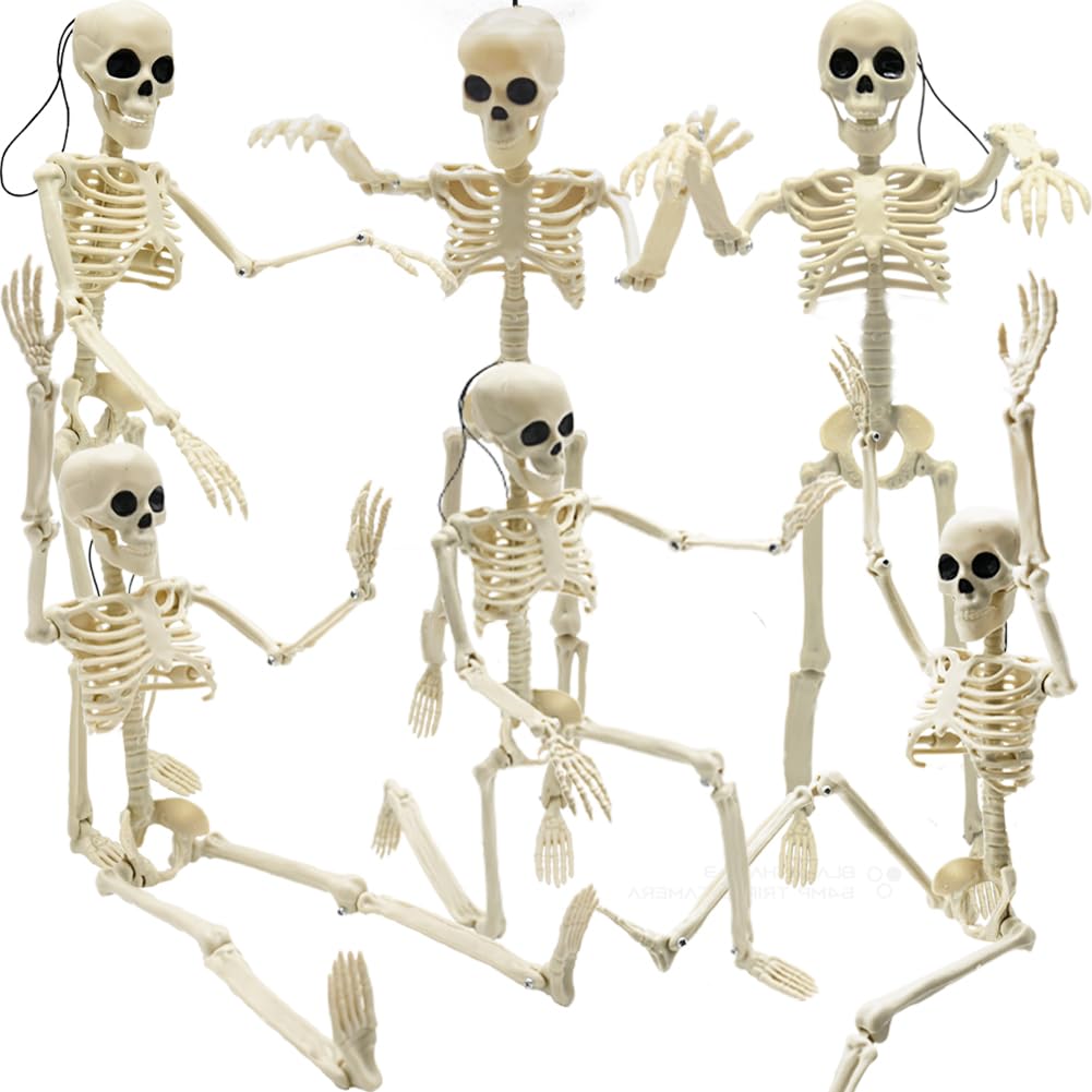 6PCS Skeleton Halloween Decorations, 16 in Full Body Poseable Small Skeleton Plastic Bones with Movable Posable Joints for Halloween Indoor Outdoor Party, Graveyard, Haunted House Accessories