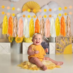 G1ngtar 53 Pcs Boho Sun Garland Tassel Banner Hippie Muted Sun First Trip Around The Sun Party Decoration Supplies Aesthetic Indoor Outdoor Artificial Felt Wall Decor for Birthday Baby Shower Wedding