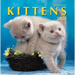 kittens 2024 hangable wall calendar - 12" x 24" open - cute kitty cat photo gift - sturdy thick beautiful kitten photography - large full page 16 months for organizing & planning - includes 2023