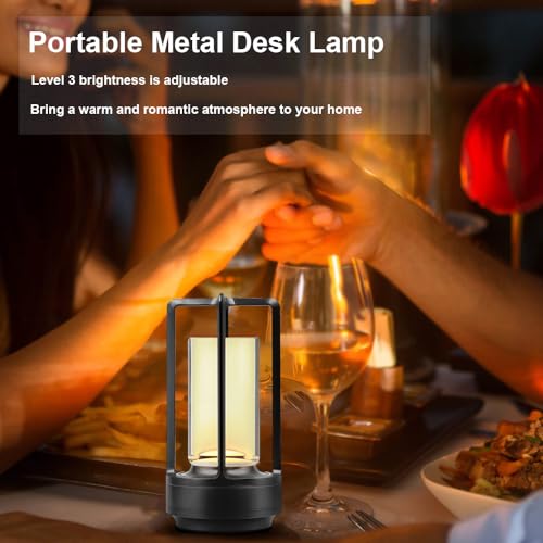 Leroxo Portable Metal Desk Lamp,Cordless LED Table Lamp,Touch Control Rechargeable Lamp,3-Levels Brightness Room Decor Desk Lamp,Bedside Lamp,Night Light (Light Black)