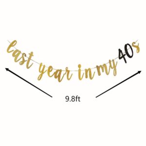 Last Year In My 40S Banner -49th Birthday Decorations 49 Birthday Party sign