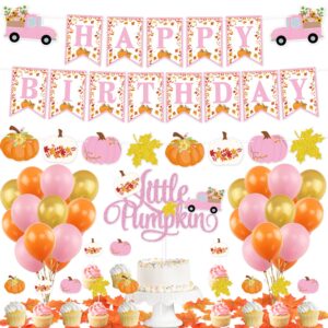 Pink Fall Pumpkin Birthday Party Decorations, Little Pumpkin Birthday Banner Cake Topper Balloons for Girls Fall Birthday Baby Shower Thanksgiving Party