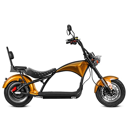 eAhora DOT Approved M1 2 Seat 2000W 37Mph Electric Motorcycle for Adults, 40 Miles 60V 30ah Lithium Battery, Street Legal 2 Person Electric Mopeds for Adults, Dual Hydraulic Brake for Urban Commuting