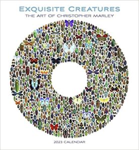 2024 excuisit creatures the art of christopher marley calendar with 1 free year planner (10 dollar value)