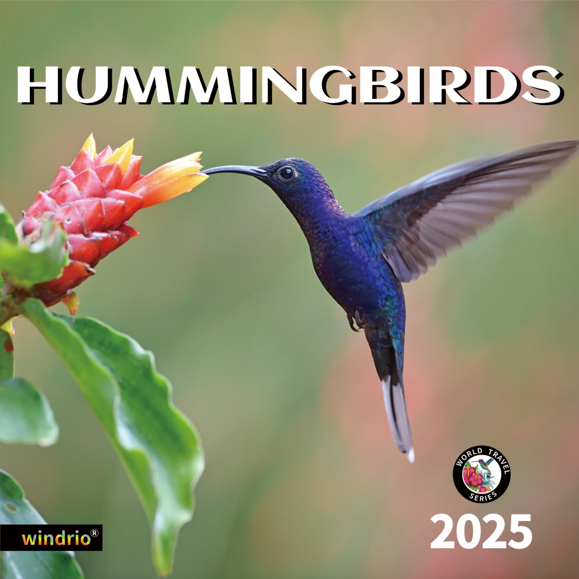 2024 Wall Calendar,Calendar 2024, November 2023 - December 2024, Wall Calendar Hummingbird, 12" x 24" Opened,Full Page Months Thick & Sturdy Paper for Gift Perfect Calendar Organizing & Planning