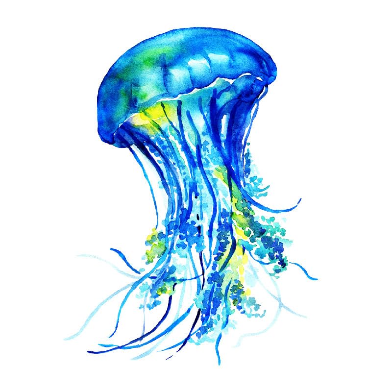 SanerLian Jellyfish Watercolor Temporary Tattoo Sticker Ocean Waterproof Kids Children Party Favor Decorations Hand Arm Shoulder Body Art 10.5X6cm Set of 12 (SF168)
