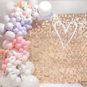 Champagne Shimmer Wall Backdrop Sequin Backdrop 6ftx4ft Glitter Party Backdrop for Bridal Shower Birthday Decorations Bachelorette Party Supplies