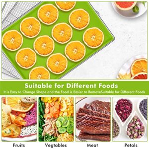 5PCS Silicone Dehydrator Sheets,Fruit Leather Silicone Dehydrator Mats with Edge Compatible with Cosori CP267-FD, Non-Stick Food Dehydrator Mats for Fruits Meat Vegetables Herbs (Mixed Color-5 Packs)