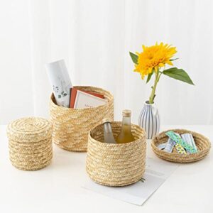 Cabilock Laundry Basket Woven Wheat- Straw Bin Straw Woven Storage sundries storage basket stationery storage basket decorative woven basket Baskets with Lid Wicker Serving Basket Classroom Decor