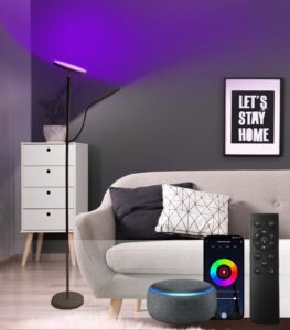 2 in 1 rgb floor lamp with reading lamp 30w/15w color changing mood sky led modern super bright floor lamps-tall standing pole light with remote & touch control for living room,bed room,home office