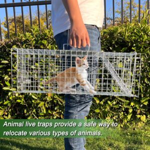 Live Animal Cage Trap,24 X 7 X 8In Animal Trap for Rabbits,Stray Cats,Squirrels,Humane Cat Trap,Foldable Live Traps Cage with Handle for Groundhogs,Opossums