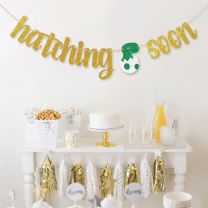 Dalaber Hatching Soon Banner, Dinosaur Baby Shower Decorations for Boy, Dinosaur Party Supplies, Welcome Baby Banner, Kids 1st Birthday Party Supplies