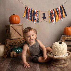 HighChair Banner for 1st Birthday - Halloween Decorations for Photo Booth Props, Birthday Souvenir and Gifts for Kids, Best Party Supplies (Halloween Birthday Banner)