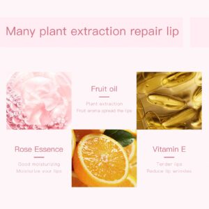 Pudaier Hydrating Lip Oil, Fruit Extract Lip Oil Set Tinted for Dry Lip and Lip Care, Shiny and Moisturizing Transparent Lip Oil Gloss (Mixed Set)