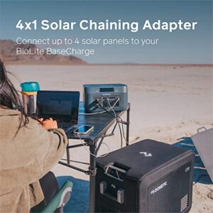 BioLite, 4x1 Solar Chaining Adapter, Compatible SolarPanel 100 & BaseCharge 1500 Power Station