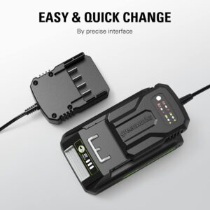 Greenworks 24V Compact Battery Charger (Genuine Greenworks Charger)