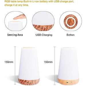 TLAOTNIY Dimmable Night Light Lamp, 𝘾𝙤𝙡𝙤𝙧 𝘾𝙝𝙖𝙣𝙜𝙞𝙣𝙜 𝘽𝙚𝙙𝙨𝙞𝙙𝙚 𝙉𝙞𝙜𝙝𝙩 𝙇𝙞𝙜𝙝𝙩𝙨 for Kids, Touch Sensor Control Table Light Lamp for Bedroom with Rechargeable Battery -Remote
