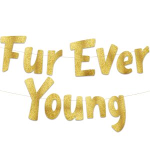 furever young gold glitter banner – dog birthday banner – cat birthday decorations – funny puppy and kitten birthday party supplies and gifts