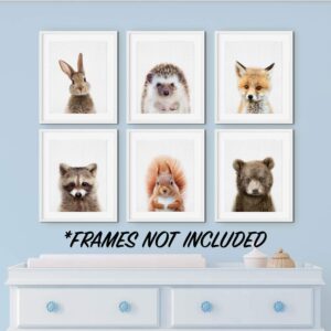 EPHANY Baby Animal Posters and Prints, Canvas Painting Nursery Pig Wall Art, Piglet Print Wall Art Nordic Picture Kids Room Decoration (YMX015,8"x10"(20x25cm))