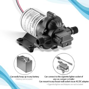 WASSERMANN RV Pump, 12V Self-priming RV Water Pressure Pump 4.0GPM 45PSI with Pressure Switch, for RV Marine Camping Yacht Garden