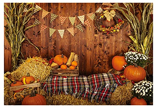 YYNXSY 10X8FT Thanksgiving Autumn Background Autumn Pumpkins to The Countryside Photography Background Harvest Harvest Harvest Background Party Supplies Cake Table Decoration Banner Portrait YY-2501