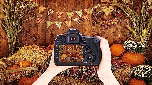 YYNXSY 10X8FT Thanksgiving Autumn Background Autumn Pumpkins to The Countryside Photography Background Harvest Harvest Harvest Background Party Supplies Cake Table Decoration Banner Portrait YY-2501